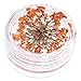 12 Colours Dry Real Dried Flower Nail Art Tips DIY Nail Decoration Manicure Art