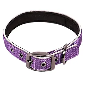 Max and Neo Glacier Reflective Neoprene Metal Buckle Dog Collar - We Donate a Collar to a Dog Rescue for Every Collar Sold (Small, Purple)