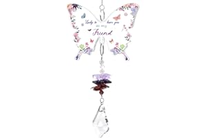 GYOUNGT Butterfly Fridend Gifts, Crystal Suncatcher Gifts Best Friend Birthday Gifts Christmas Anniversary Graduation Gifts Lucky to Have You as My Friend Present