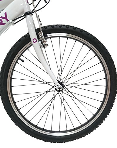 Discovery DP068 - Bicicleta Montaña Mountainbike B.T.T. 24