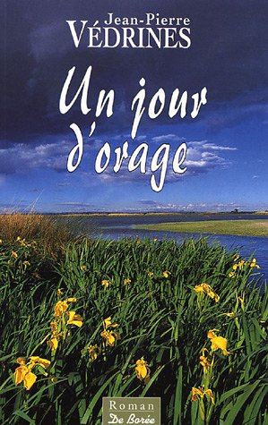 couverture de : Un jour d'orage