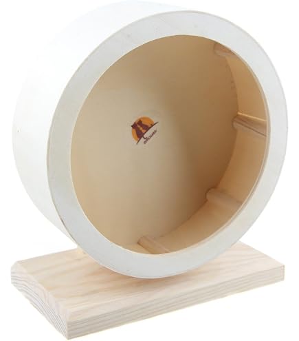 Hamster-Laufrad, 21,1 Cm Durchmesser – Leise, Aus Kunststoff, Für Hamster, Mäuse, Chinchillas & Kleintiere