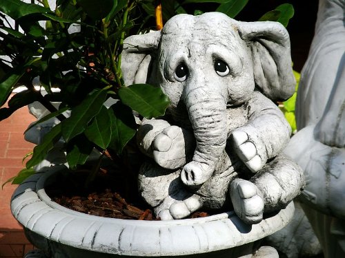 Steinfigur Elephant Elefant Benjamin 28 cm ca.15,8 kg Frostfest Stein Nr.042 - 4