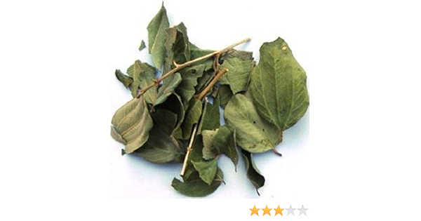 Jujube Sidr Leaf 45 Gr Ziziphus Amazon Co Uk Grocery