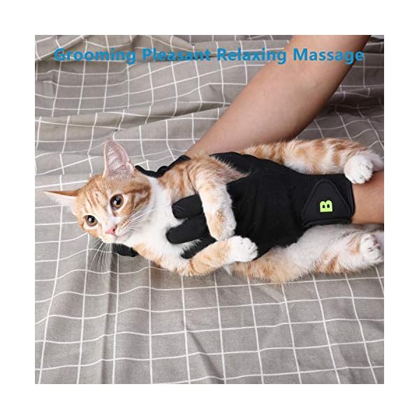 Bikien Gant Brosse Chat Gants De Toilettage Et D Epilation Pour Chiens Et Chats Fourniture A Poil Long Ou A Poil Court Roman La Veille Du Net