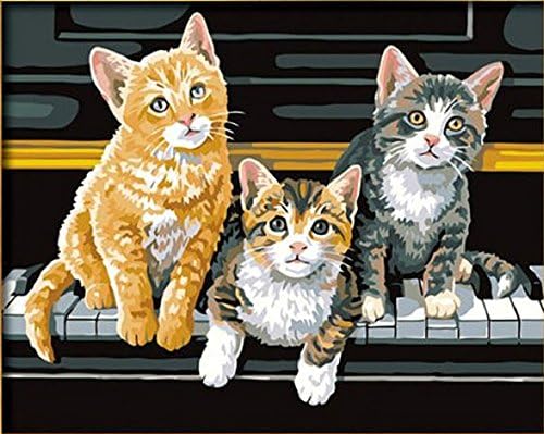 PaintingStudio Three cats sit on piano DIY Painting by numbers 16x20 inch home decor (Framed)