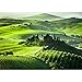 Produktbild Vlies Fototapete 400x280 cm PREMIUM PLUS HiQ - OEKO-TEX Standard 100 Wand Foto Tapete Wand Bild Vliestapete - SUNRISE IN TUSCANY - Sonnenaufgang Italien Toskana Weinberg Weingut - no. 0068