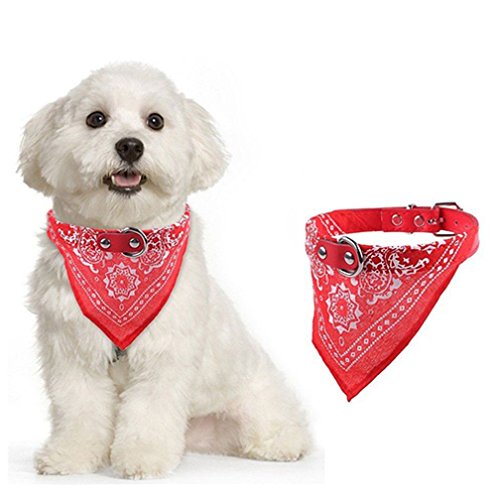 Alcyoneus Collare con bandana per cuccioli, regolabile, per cane e gatto, collare in pelle sintetica con bandana