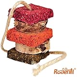 Rodenti Knusperquintett