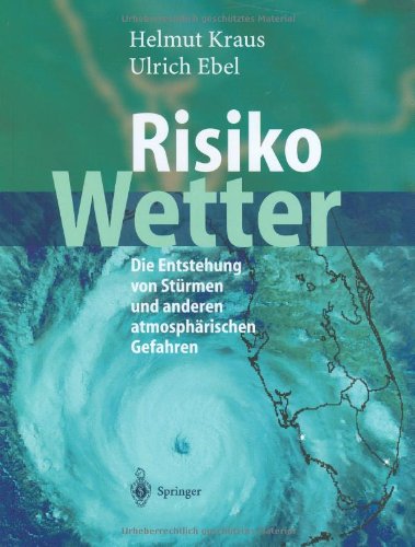 Risiko Wetter: Die Entstehung von Stürmen und anderen atmosphärischen Gefahren Buchen