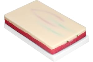 QWORK® Venipuncture Injection Training Model Pad with 4 Imbedded Veins and Blood Return Function - Medical Students Nurses Accessories