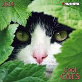 Cool Cats 2014 Mini Calendar (Mini Calendars) (Large Slimline) by 