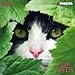 Cool Cats 2014 Mini Calendar (Mini Calendars) (Large Slimline) by 