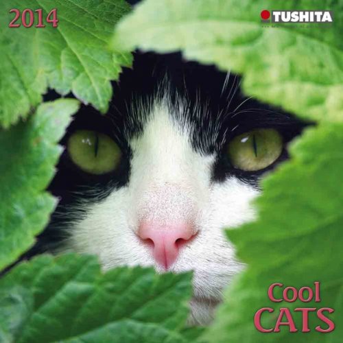 Cool Cats 2014 Mini Calendar (Mini Calendars) (Large Slimline)