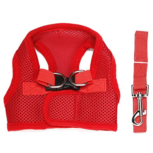 Preisvergleich Produktbild Contever® Verstellbar Rückseite Clip Harness Hundegeschirr Welpengeschirr Softgeschirr Brustgeschirr Halsbänder mit Leine (XL:Brustumfang 38-42cm)- Rot