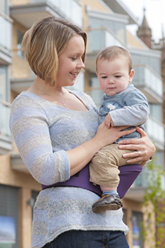 hippychick hipseat ebay