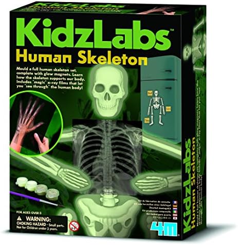 Best Selling Rainy Day Idea Birthday or Xmas Fun Play &amp; Learn Present Idea For kids Age 8+ KidzLabs - Human Skeleton
