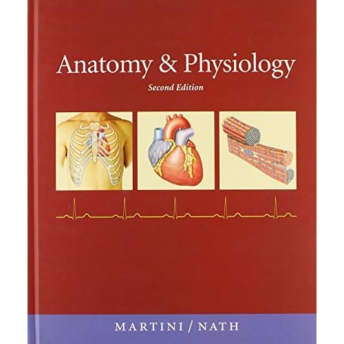 Anatomy & Physiology with IP-10 and Get Ready by Frederic H. Martini (2012-08-05)