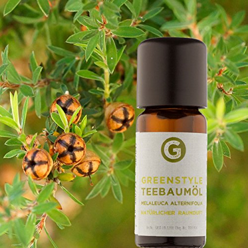 Sandelholzoel (10ml) – 100% naturrein – ätherisches Öl von greenstyle - 9