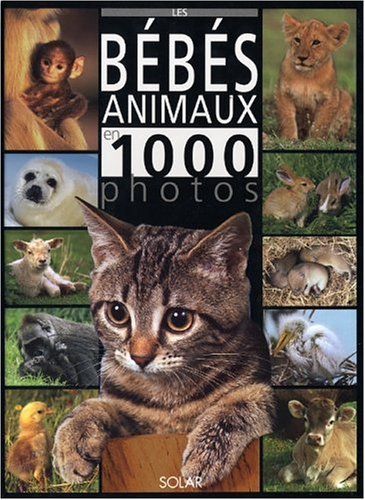 Les Bébés animaux en 1000 photos francais Les Bébés animaux en 1000 photos francais