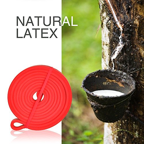 [Resistance Band] FREETOO® Fitnessbänder professionelle Latex Widerstand Bänder Pull-Up Bänder Klimmzughilfe für Bodybulding/Yoga/ Krafttraining/CrossFit in 4 Stärken - 4