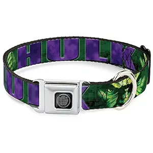 Buckle-Down Hulk Face C/U/Action Pose Greens/Purples Seatbelt Dog Collar, 1