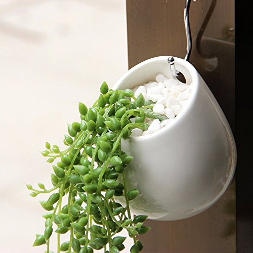 innoter wandhängende Sukkulente Übertopf für Outdoor Garten Terrasse Sukkulente, Übertopf Topf, Mini weiß rund Keramik Hydrokultur wandhängende Pflanztopf - 5