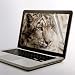 PINDIA 15 INCH MACBOOK PRO TRANSPARENT SCREEN GUARD RS.199.00
