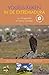 Produktbild Vogels kijken in de Extremadura: de beste vogelplekken; gedetailleerde kaarten; de mooiste wandelingen (Wildernis Dichtbij, Band 5)
