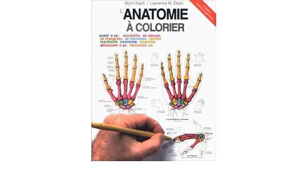 Amazon Fr Anatomie A Colorier 2eme Edition Kapit Wynn Elson Lawrence M Livres