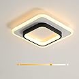 KEPHTH LED Ceiling Light, Modern Ceiling Light 24 W 2200 LM, Square Ceiling Lighting for Hallway, Entryway，Bedroom, Kitchen, Small Diameter 20 cm, Adjustable 3000 K / 4500 K / 6500 K