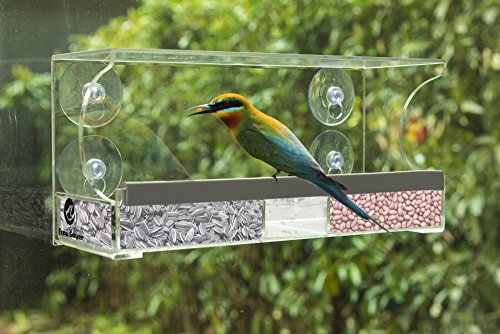 Frau Sauer Vogelhaus Fenster Modernes Vogelfutterhaus mit 4 haltbare Saugnäpfen, durchsichtiges Acryl - 5