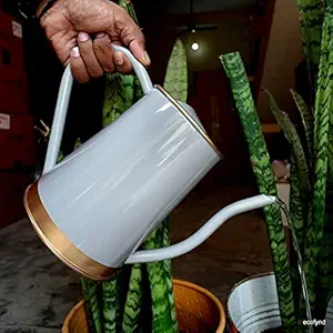 ecofynd 2 Litre Metal Watering can for Plants | Garden Water can for Kids | Flower Watering Pot for Home Gardening | Color - Grey, Size - WC3: 2 L with spout