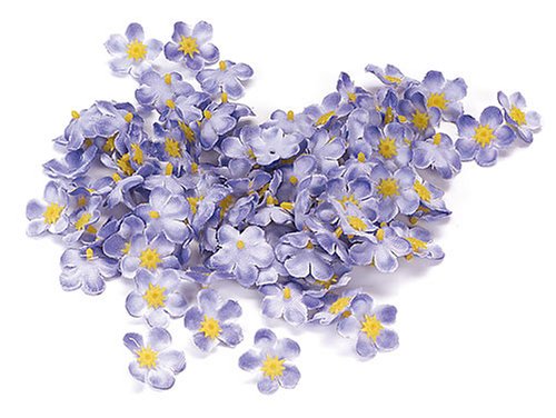 KnorrPrandell 7611180 Vergissmeinnichtstreu, 1 cm, lila