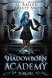 Shadowborn Academy: Year One (Dark Fae Academy Series Book 1) (English Edition) bei Amazon kaufen