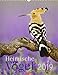 Heimische Vögel - Kalender 2019 by