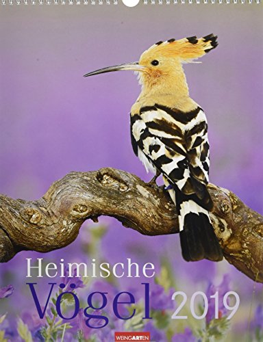 Heimische Vögel - Kalender 2019