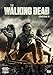 The Walking Dead 8 (Box 4 Dvd)