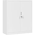 MMT Furniture Grey Metal Storage Cabinet FC-A10 2 Door Locking Office,Universal Steel Filing Cabinet for Home Office, Garage Tools, Shoe Storage, 2 Shelf, 106cm tall