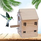 Fomente la reproducción natural y el anidamiento de aves para ayudar a su pequeño loro a descansar y construir nidos.