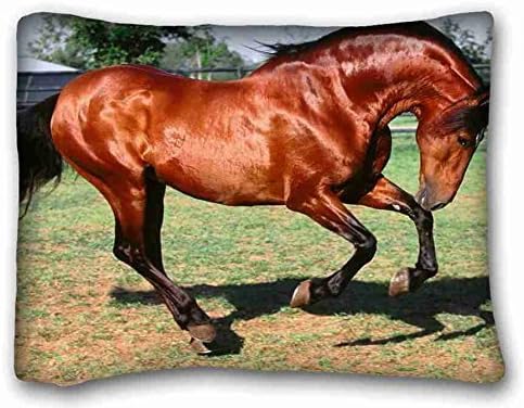 Custom Cotton &amp; Polyester Soft Animal Pillowcase Standard Size 20"X26" Design Pillow Case Cover suitable for Twin-bed