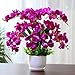 Produktbild QQ-AILHP Künstliche Blumen Phalaenopsis Set Wohnzimmer Dekoration Topfpflanzen Lila Ein