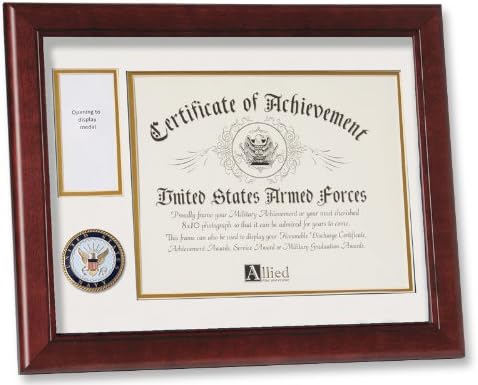 Allied Frame United States Navy Medal and Award Frame