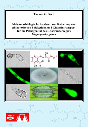 Molekularbiologische Analysen zur Bedeutung von phytotoxischen Polyketiden und Glyzerintransport für die Pathogenität des Reisbranderregers Magnaporthe grisea