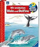 Wir entdecken Wale und Delfine (Wieso? Weshalb? Warum?, Band 41) by Doris Rübel
