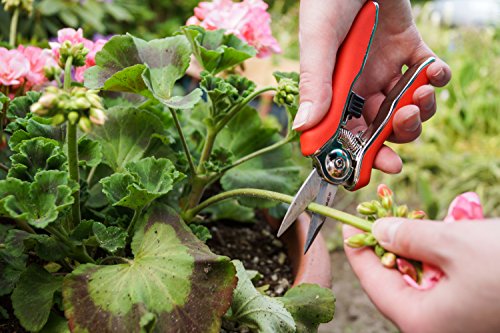 Connex Mini-Trimmerschere, FLOR70368 - 2