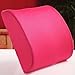 THG New Memory Foam Seat Chair Rose Car Sedan Office Home Lumbar Back Pain Support Cushion Pillow Pad