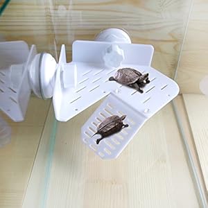 Acrylic Turtle Reptile Corner Angle Basking Platform Amphibian With 2 Big Sucker