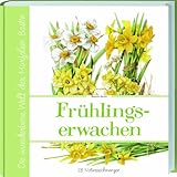 Marjolein Bastins Frühlingserwachen: 28 Naturzeichnungen by