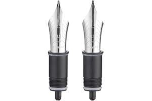 ASVINE Zestaw 2 wymiennych stalówek wiecznych z cyfrą 8 – kompatybilne z C2000, V800 i C80 – srebrne